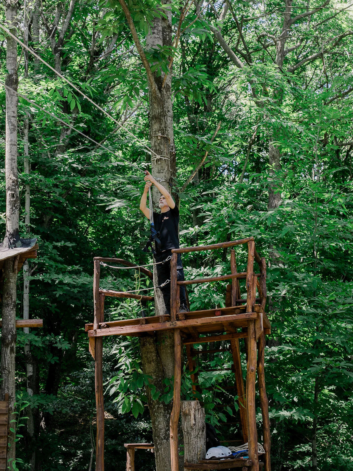Flying Fox 3