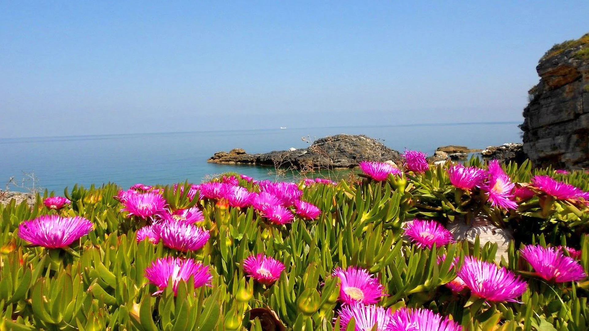 Τσαγκαράδα / Tsagarada